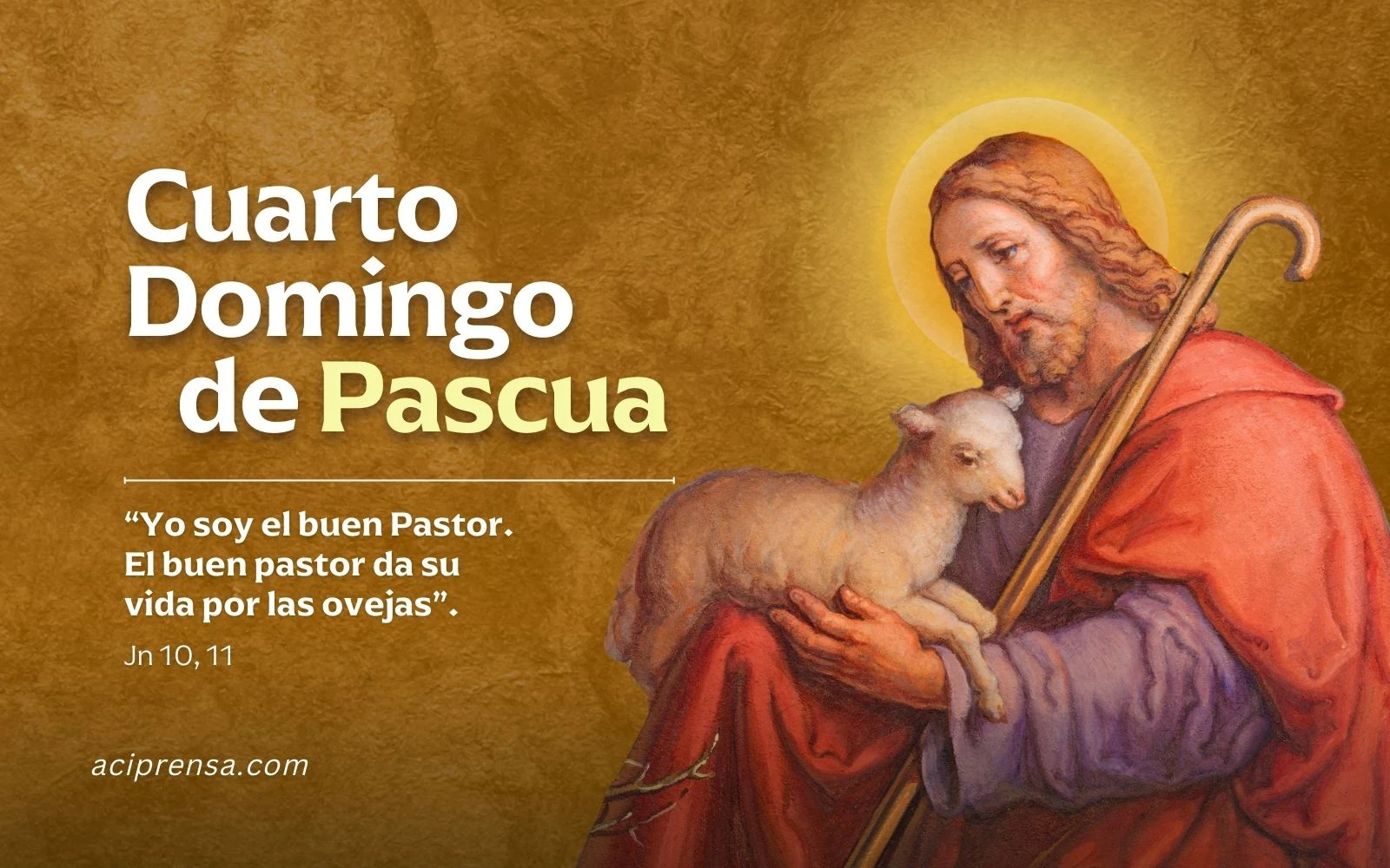 DOMINGO 4º DE PASCUA: BUEN PASTOR